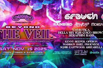 BEYOND THE VEIL
