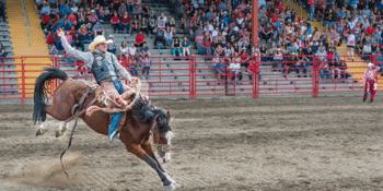 The National Rodeo Championships