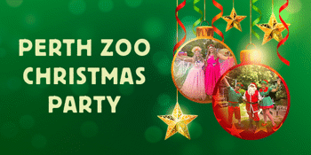 Perth Zoo Christmas Party