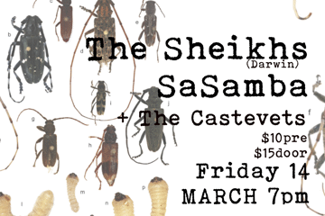 The Sheikhs (Darwin), SaSamba, The Castevets