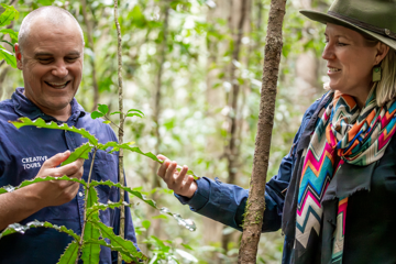 Walking With Macadamias by GourMay Mary Valley