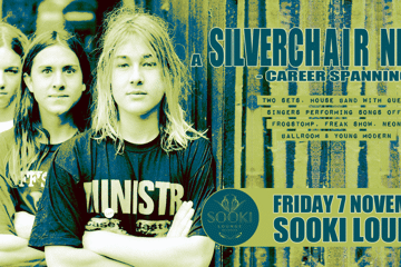 Silverchair Night