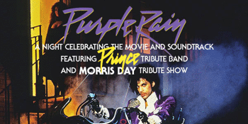 Purple Rain Night