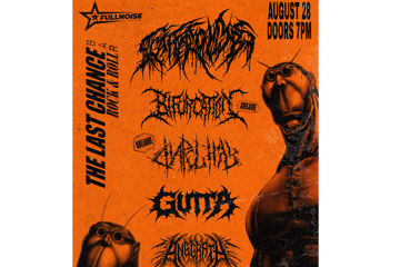 SCATTERED LIMBS + BIFURCATION @ LAST CHANCE