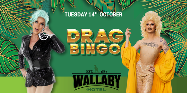 Drag Queen Bingo - Wallaby Hotel