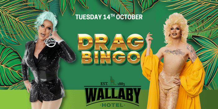 Drag Queen Bingo - Wallaby Hotel