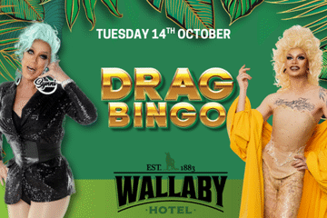 Drag Queen Bingo - Wallaby Hotel