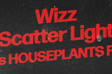 WIZZ | SCATTER LIGHT | Los HOUSEPLANTS F.C.