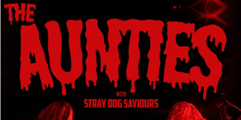 The Aunties & Stray Dog Saviours