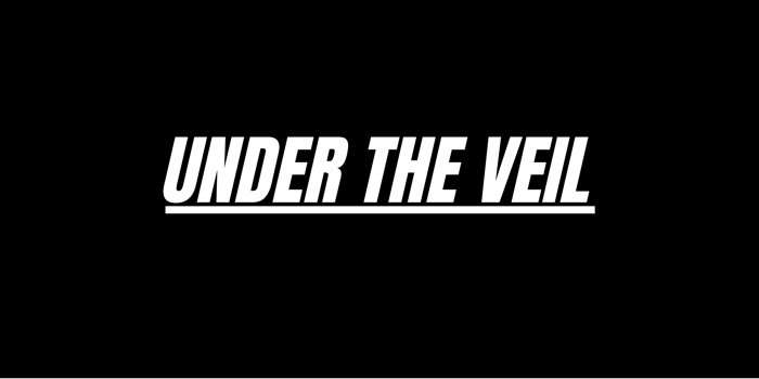 Under The Veil: A Fundraiser