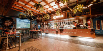 Melbourne Cup at the Elephant Hotel