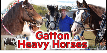 Clydesdale & Heavy Horse Field Days - 3 & 4 May 2025 at Gatton Showgrounds