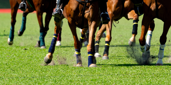 Melbourne Cup Luncheon