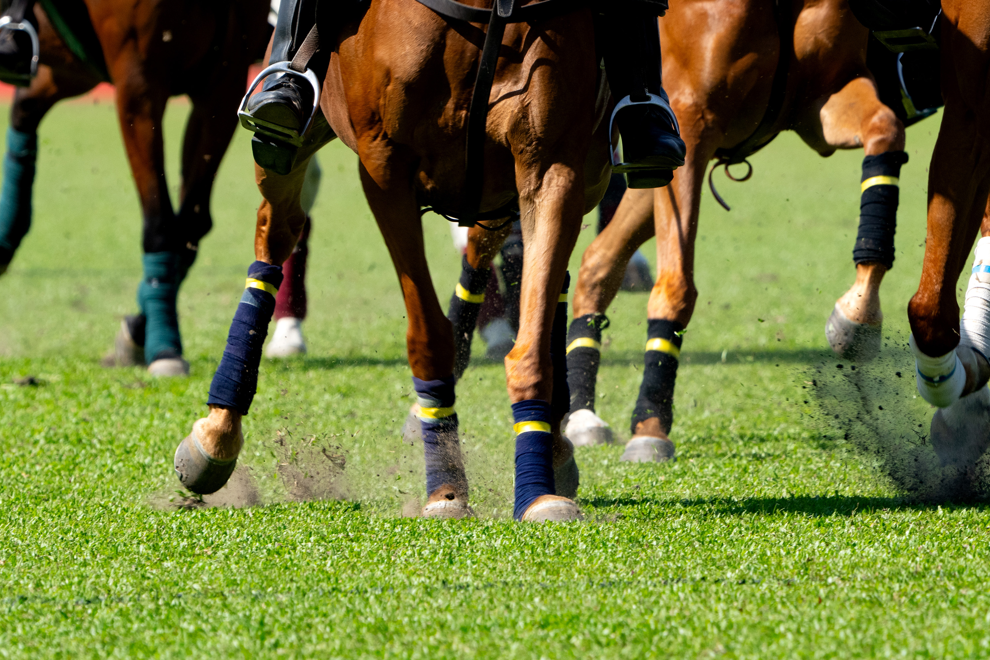 Melbourne Cup Luncheon