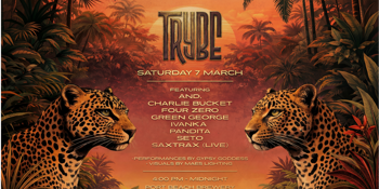 TRYBE | PORT BEACH BREWERY | MARCH 2026