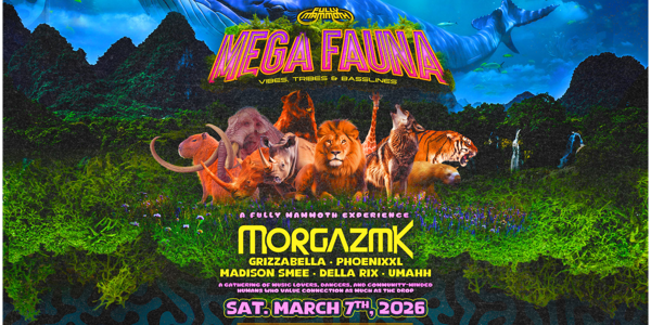 MEGA FAUNA live at M|Arts Cafe and Bar in Murwillumbah on March 07, 2026 - Concert poster