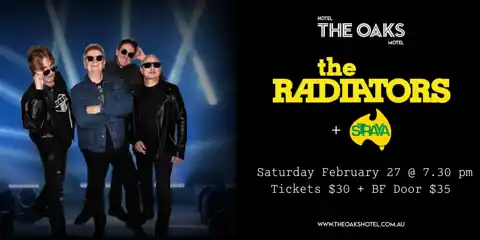 The Radiators