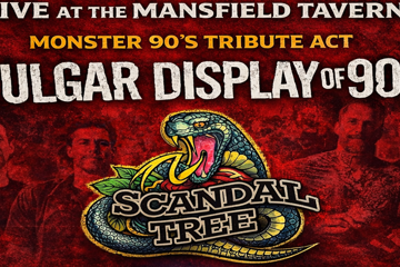 Vulgar Display of 90's