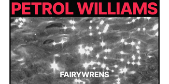 Petrol Williams launches ‘Fairywrens’