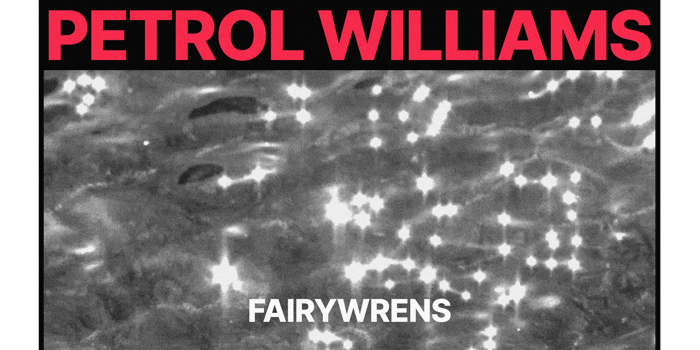 Petrol Williams launches Fairywrens