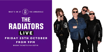 The Radiators Live At Ambarvale Hotel