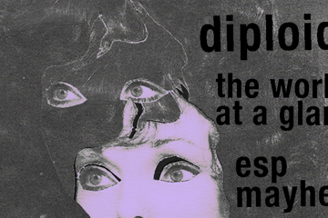 Diploid and friends at Last Chance