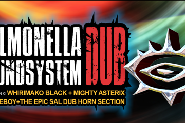 Salmonella Dub Soundsystem