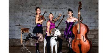The Hillbilly Goats