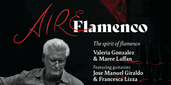 Aire Flamenco Tablao