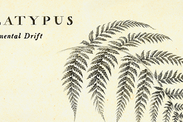 Platypus - Continental Drift Single Launch