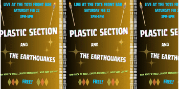 Plastic Section and The Earthquakes live at The Tote front bar