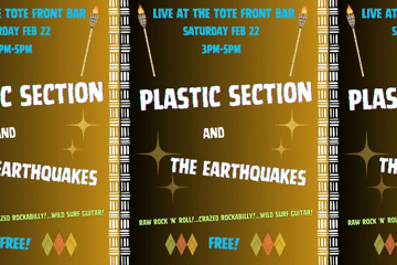 Plastic Section and The Earthquakes live at The Tote front bar