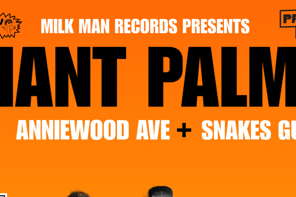 Giant Palms, Anniewood Ave & Snakes Gully!