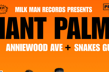 Giant Palms, Anniewood Ave & Snakes Gully!