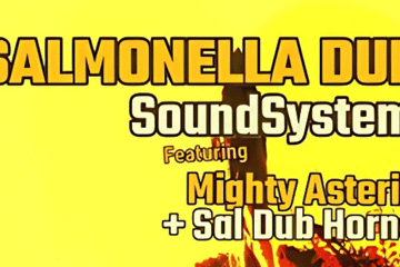 Salmonella Dub