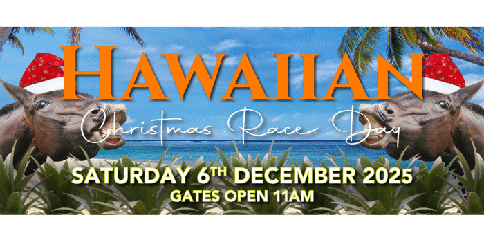 Xmas Race Day