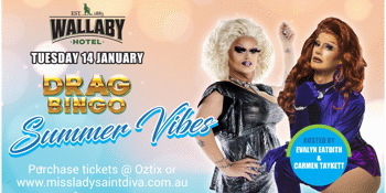 Drag Queen Bingo - Wallaby Hotel