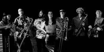 Special Brew & The Donald Trumpets
