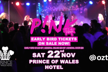 PINK TRIBUTE | Together In Time Band