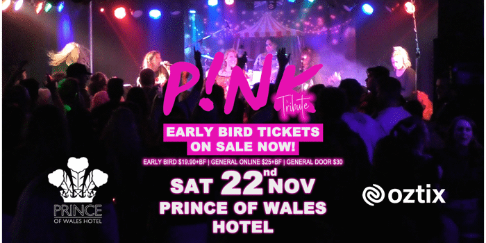 PINK TRIBUTE | Together In Time Band