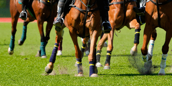 Melbourne Cup Luncheon