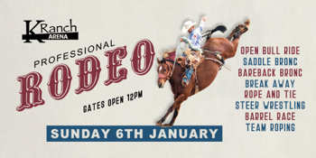 Professional Rodeo