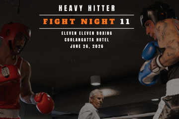 Heavy Hitter Fight Night 11