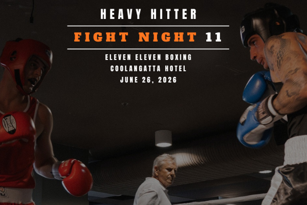 Heavy Hitter Fight Night 11