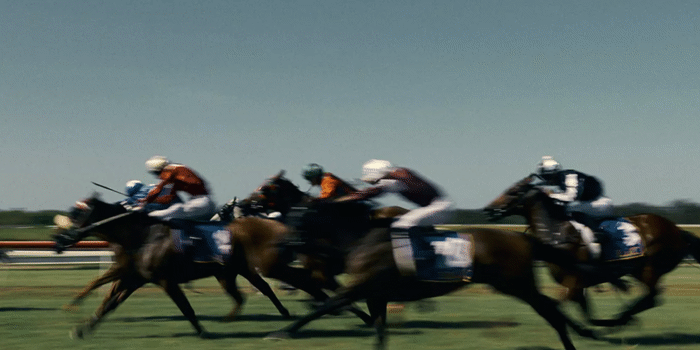 2025 Boxing Day Races