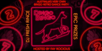 Dingo Bingo