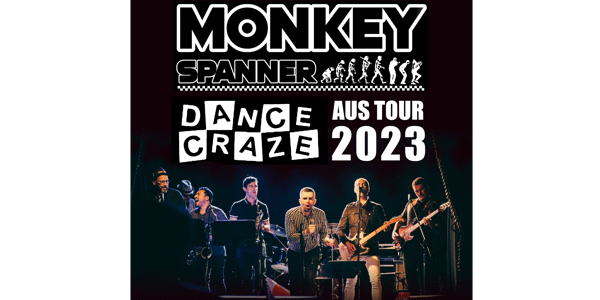 Monkey deals spanner song