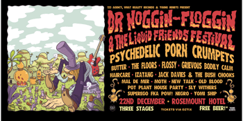 Dr Noggin-Floggin & The Liquid Friends Festival