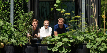 MIFF: Greenhouse by Joost