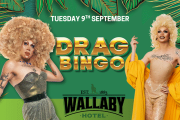 Drag Queen Bingo - Wallaby Hotel